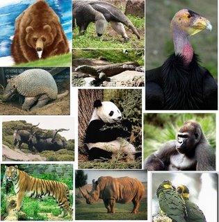 Especies en extinción.